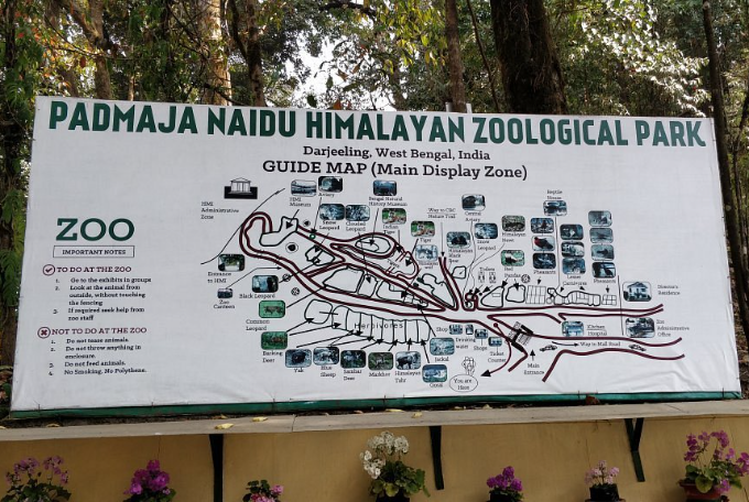 Padmaja Naidu Zoo, Top Attraction of Darjeeling