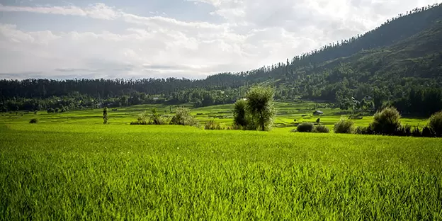 Lolab Valley Kashmir