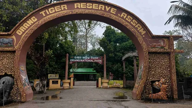 Orang Tiger Reserve, Assam