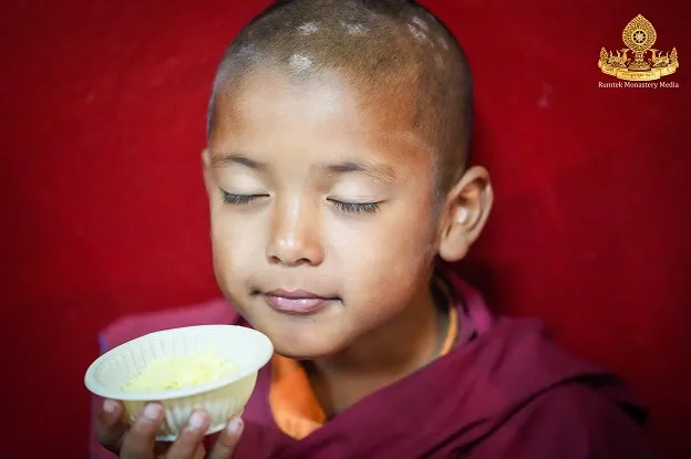 Monk in Rumtek Monastery, Sikkim