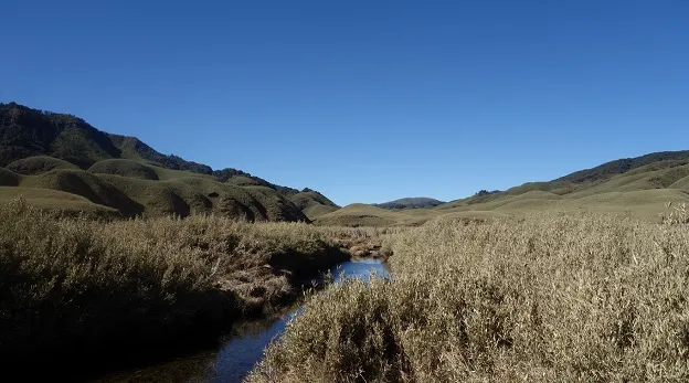 Stream in Dzukou Valley