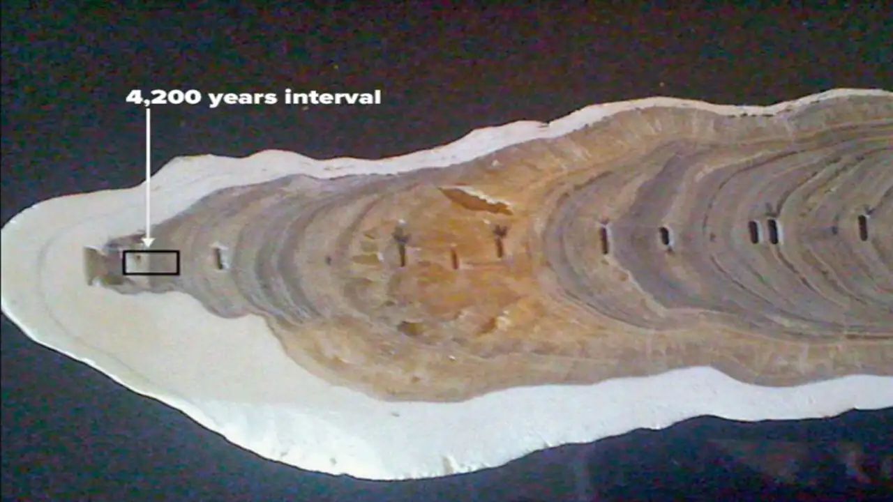 4200 years of Earth Age named after Meghalaya