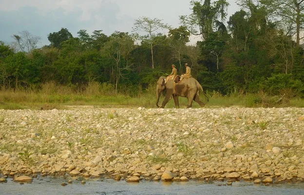 Elephant Patrolling at Nameri National Park
