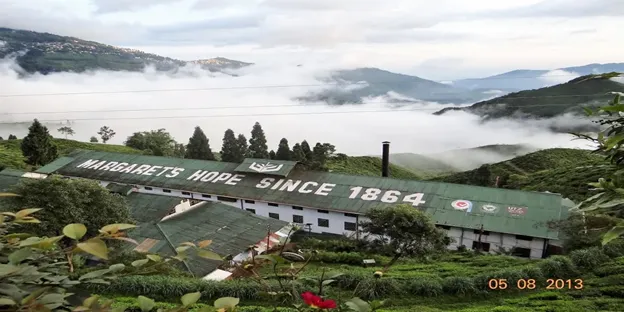 Margaret’s Hope Tea Estate