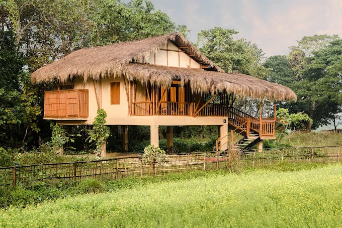 Diphlu River Lodge, Kaziranga