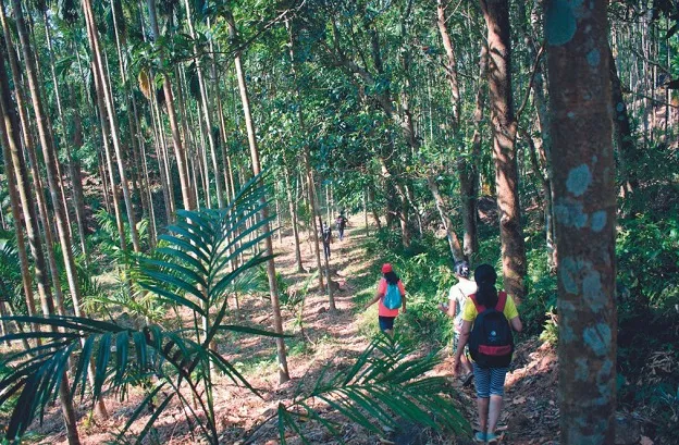 Siju Wildlife Sanctuary in Meghalaya
