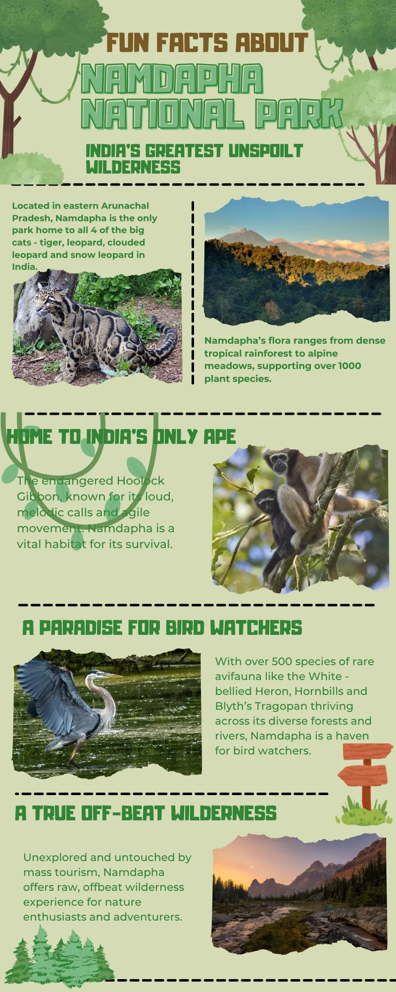 Namdapha National Park infographic