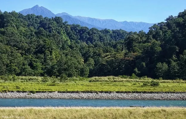 Namdapha National Park