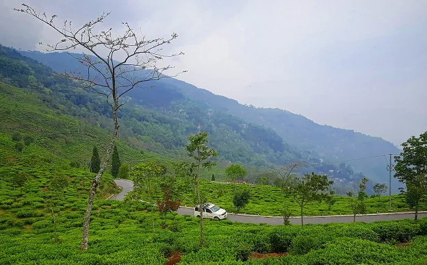 Darjeeling to Tinchuley Road
