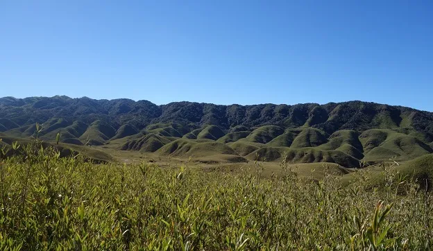 Dzukou Valley Photo