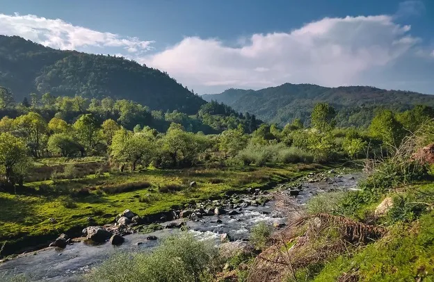 River in Shergaon, Arunachal Pradesh