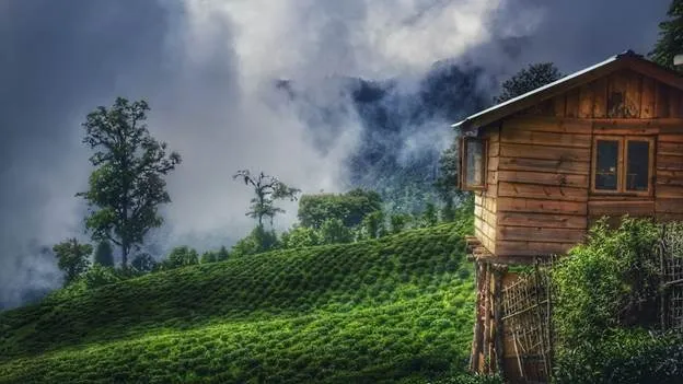 brown wooden house near tea garden