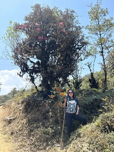 Visit to Rhododendron Sanctuary, Okhrey