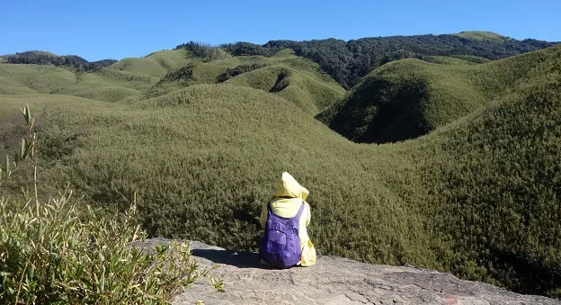 Dzukou Valley in Nagaland