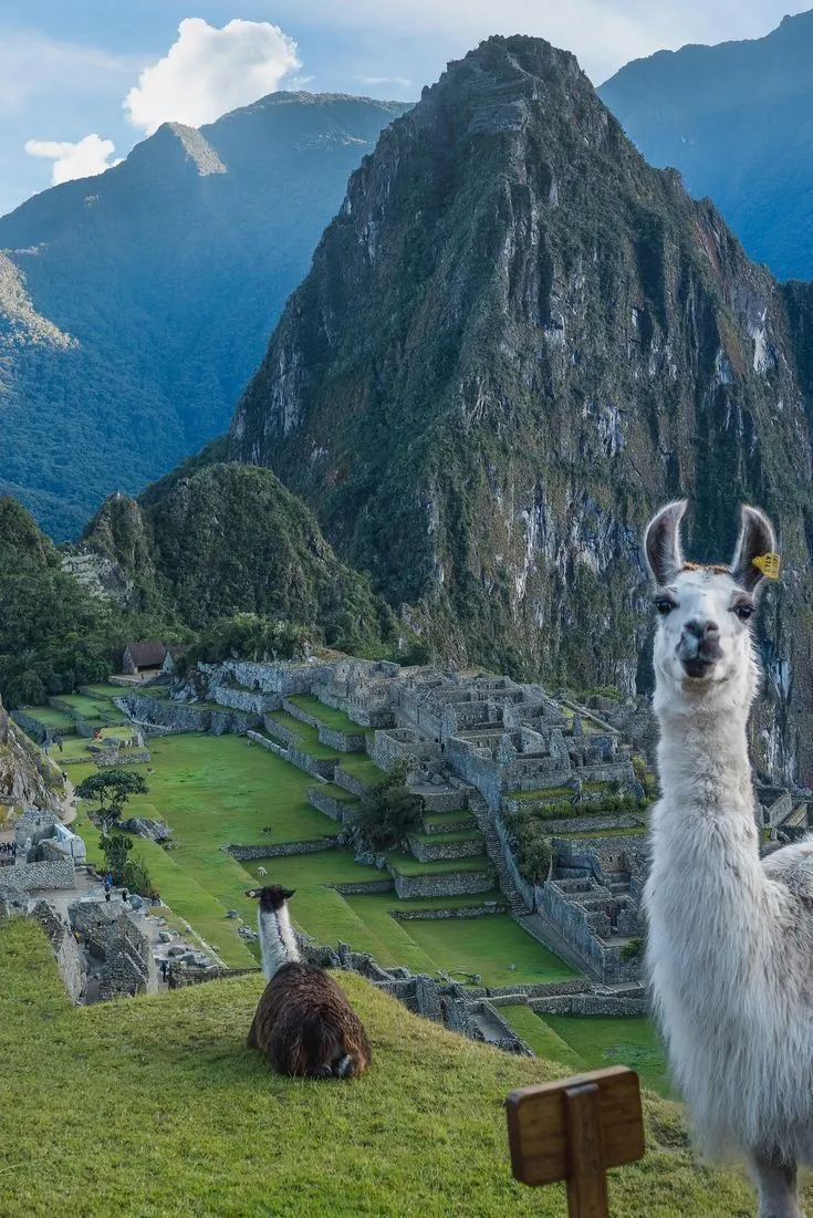 Hiking to Machu Pichu isn't for a vacationer