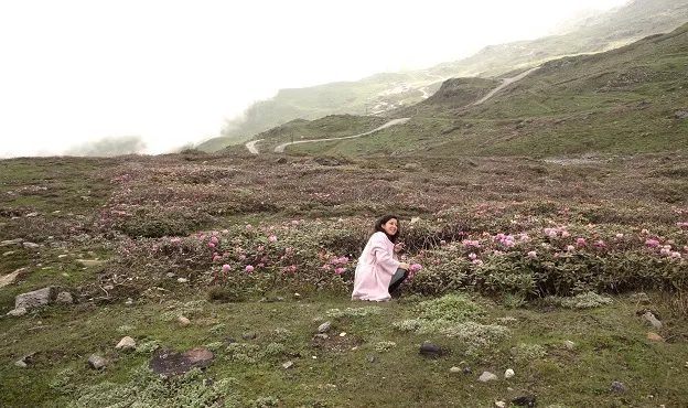 Near Kupup Lake in Sikkim