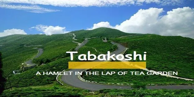 Trazum Tea Garden, Tabakoshi