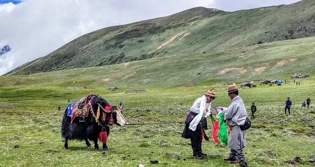 Lashar Valley, North Sikkim