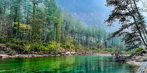 Dree River, Anini, Arunachal Pradesh