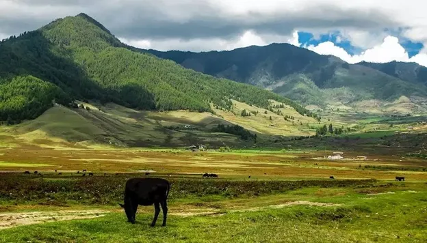 Phobjikha Valley, Bhutan
