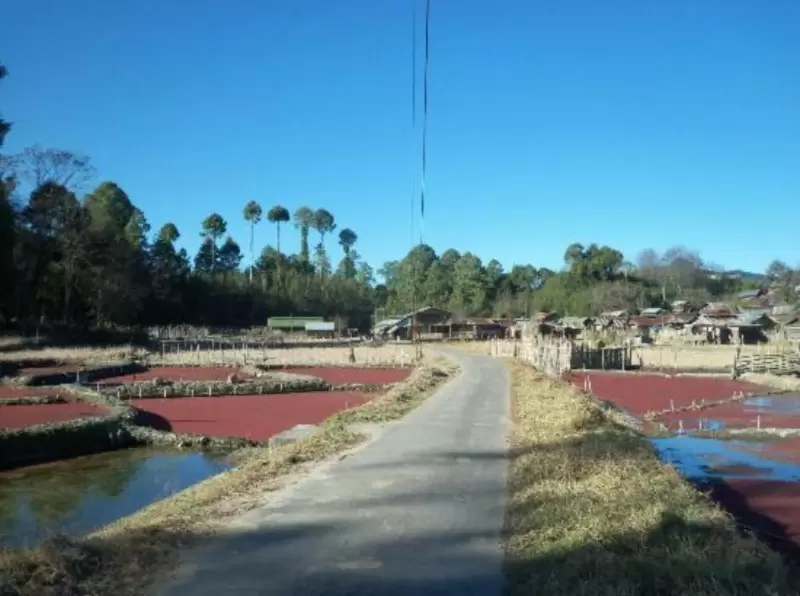 Tarin Fish Farm