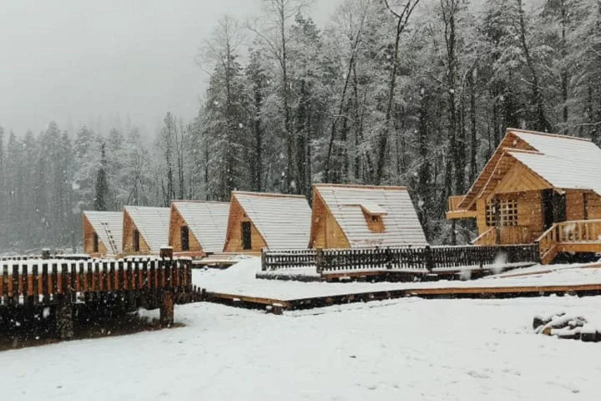 Experience Arunachal Like a Local