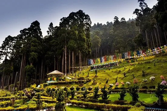 Hundred percent Customized Itineraries