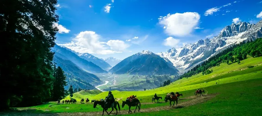 Hundred percent Customized Itineraries