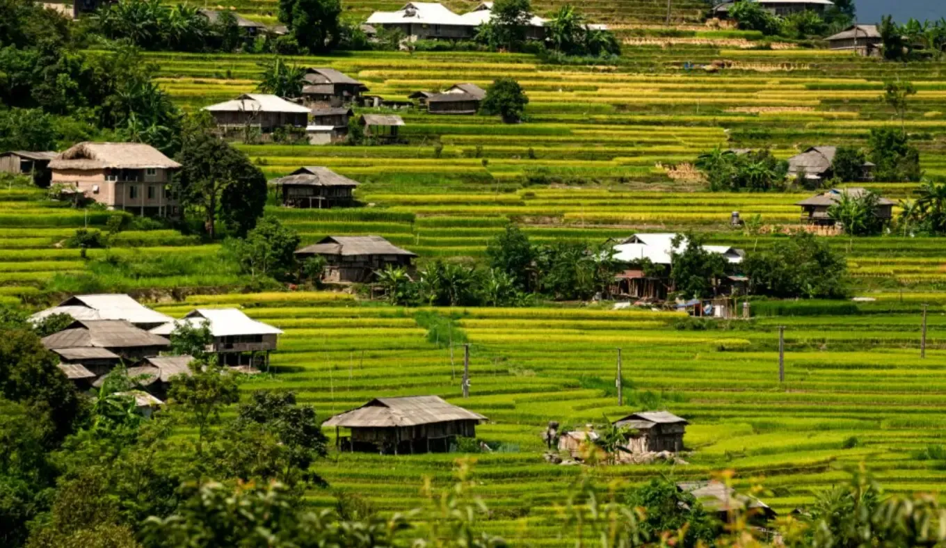 Authentic Local Experiences