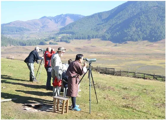 Experience Bhutan Like a Local