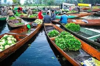 Dal Lake Vegetable Market Shikara Ride, Dal Lake Vegetable Market Shikara Ride