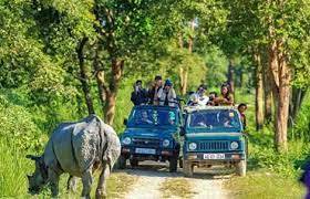 Wildlife at Pobitora Sanctuary | OurGuest Experience