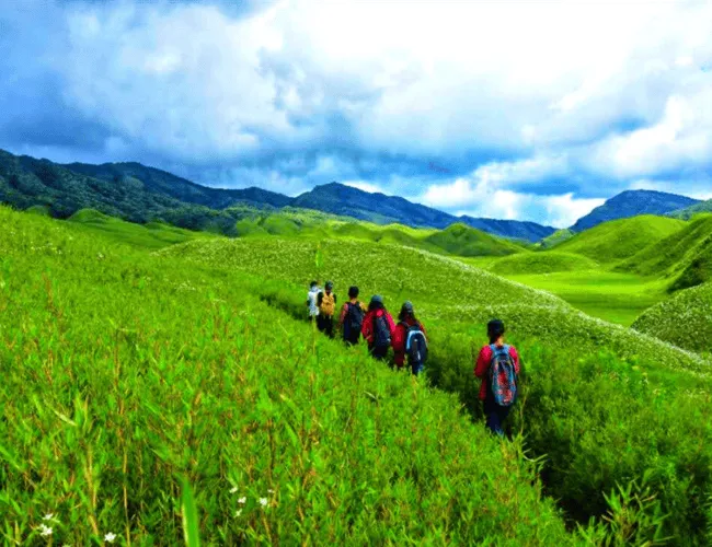 Dzukou Valley Trek, Dzukou Valley Trek