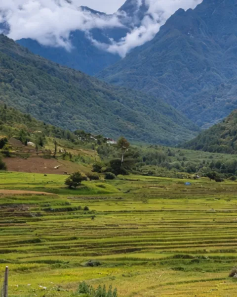 Place to visit | Chug Valley, Arunachal Pradesh