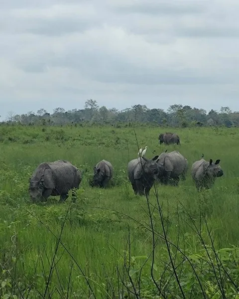 Manas National Park, Popular Place Around 
