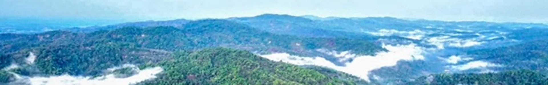 Baghmara