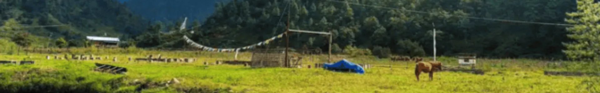 Sangti Valley Sangti Valley