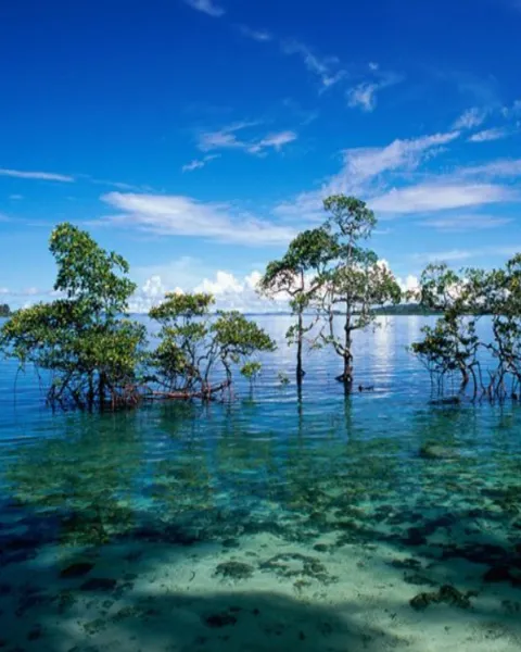 Havelock Island | Featured in OurGuest 2024