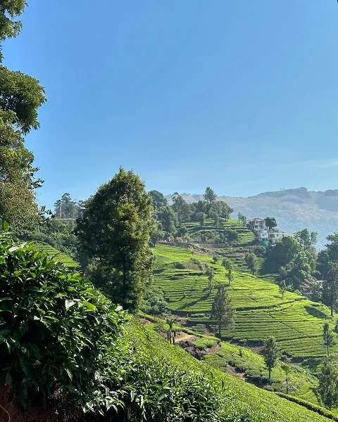 Munnar | Featured in OurGuest 2024