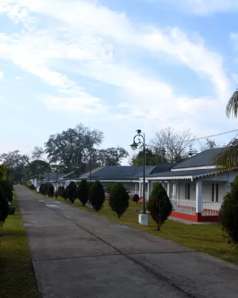 Golden Pagoda Resort