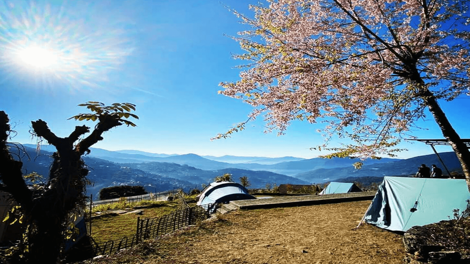 Camp Mantis, Gangtok, Sikkim, India