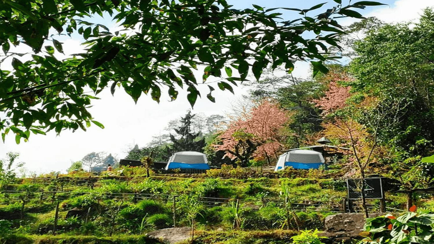Camp Mantis, Gangtok, Sikkim, India