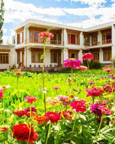 Leh Stupa Guest House, Ladakh