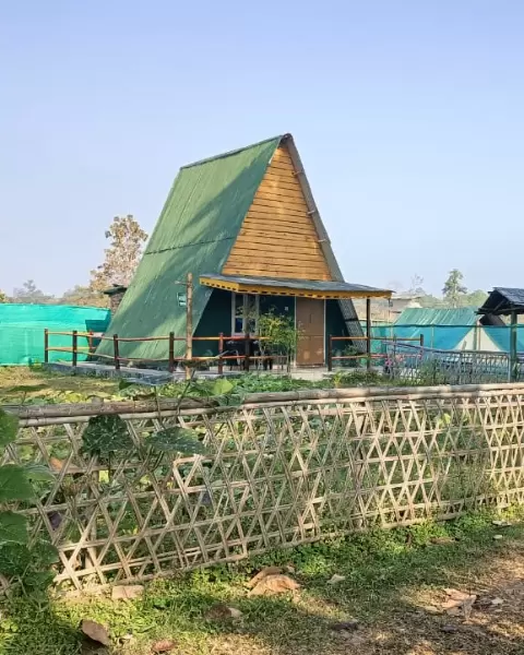 Elephant Paradise Nameri, Nameri