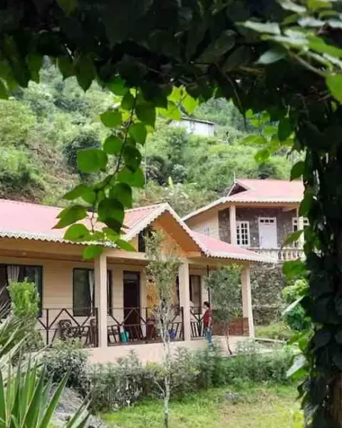 Spring Brook Homestay, Darjeeling