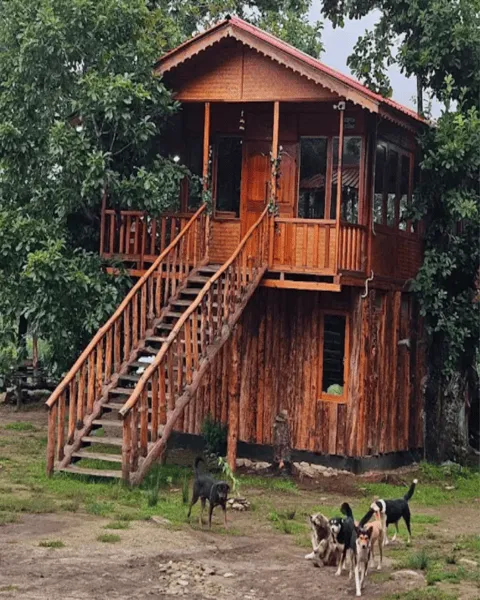 Arbor Fort The Seinthuk Treehouse
