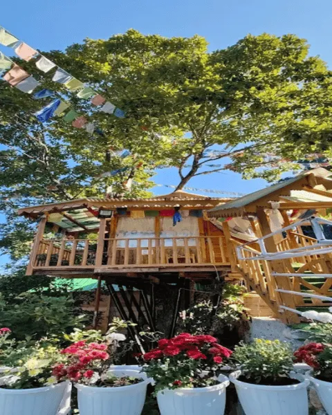 Yonjee Retreat Farmstay, Shergaon