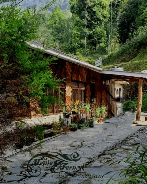 The Nettle and Fern Farmstay