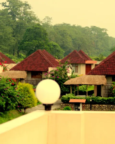 Musa Jungle Retreat Manas