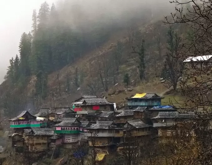 Shimla to Janglik